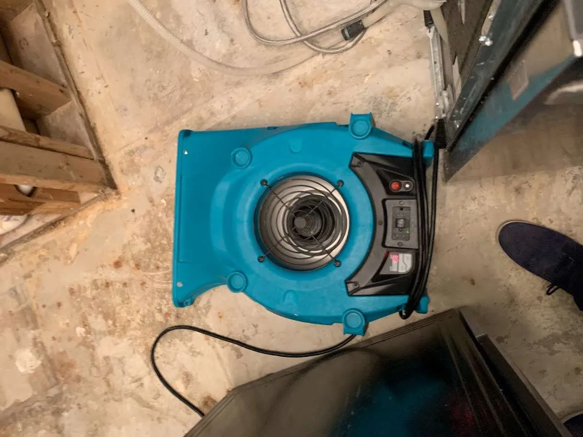 Air mover drying equipment for Mold Remediation & Removal in Yuba City